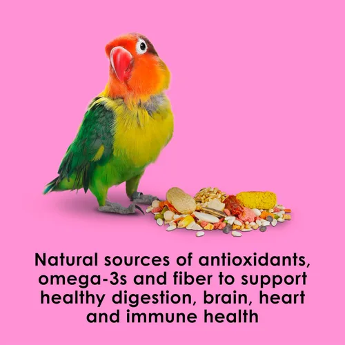 Vista 7 de Kaytee Fiesta Big Bites Small Parrot & Conure - Alimento nutritivo y divertido, apoya la piel, las plumas, la digestión, la salud del cerebro