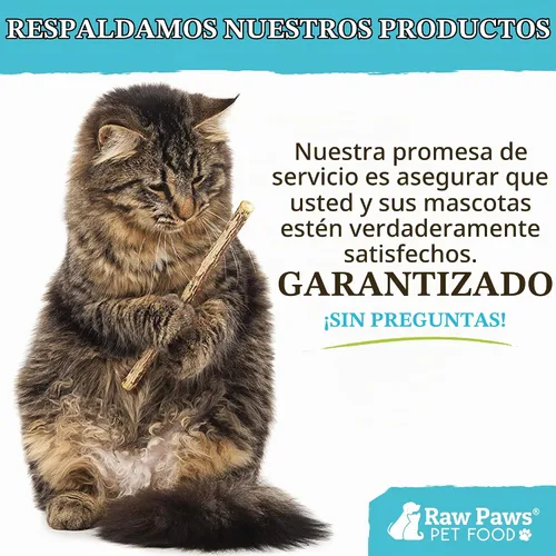 Vista 7 de Raw Paws Silvervine Sticks para gatos (paquete de 30) – Silvervine juguete para gatos de interior – Palitos de hierba gatera – Palo masticable