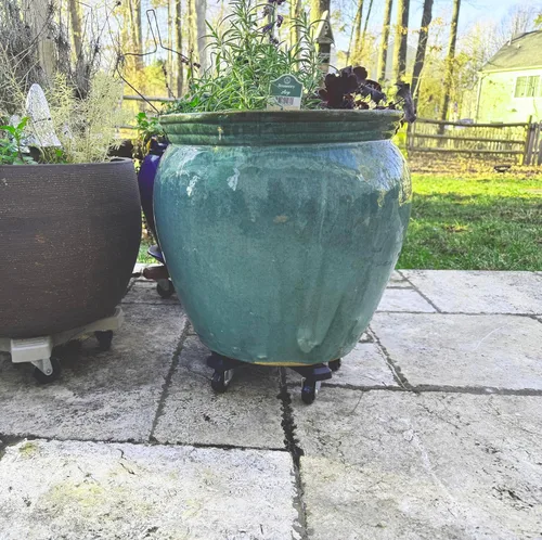 Vista 4 de Bosmere Organizador para plantas de 12 pulgadas, soporte rodante para plantas con ruedas de bloqueo, capacidad de 350 libras, organizador duradero