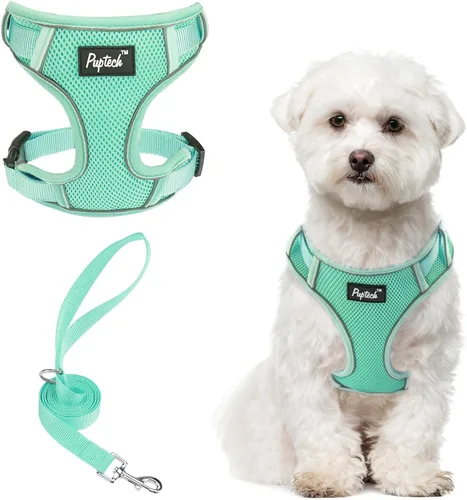 Vista 59 de PUPTECK Juego de arnés y correa para perro pequeño, arnés ajustable sin tirones para cachorro, chaleco de malla suave reflectante para mascotas