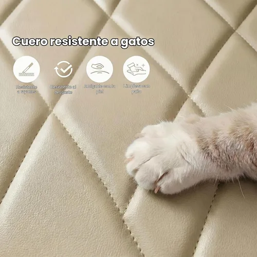 Vista 5 de Silla de Escritorio sin Brazos, Silla de Oficina Moderna para el Hogar sin Brazos, Silla de Computadora con Altura Ajustable y Balanceo, Silla