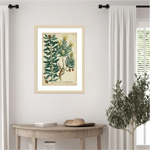 Vista 5 de Amanti Art Lienzo decorativo enmarcado para pared, 25 x 19 pulgadas, follaje y fruta de Weinmann n.º 4 por Johann Wilhem Weinmann, arte de pared