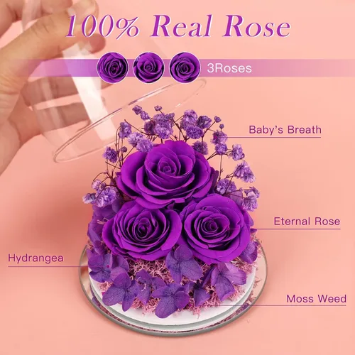 Vista 2 de Regalos de rosas preservadas para mujeres, flores frescas eternas en cristal con figuras de ángel para entrega, rosas moradas para abuela, mamá