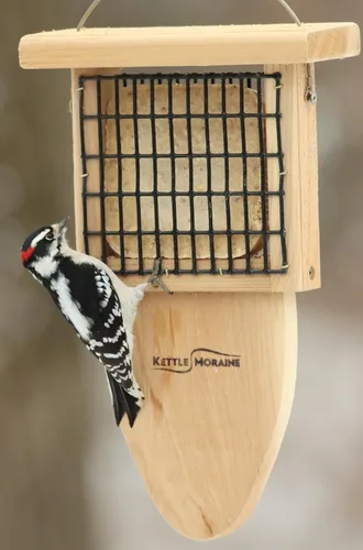Vista 4 de Kettle Moraine Cedro Single Cake Tail Prop Suet Comedero para pájaros con cable colgante