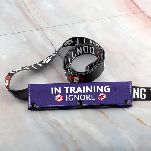 Vista 6 de Training Ignore - Correa y funda para perro, parche de distanciamiento social