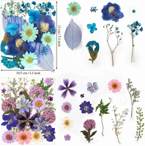 Vista 3 de Kit de 140 hojas de flores secas prensadas para moldes de resina y Blanco Amarillo 140pcs