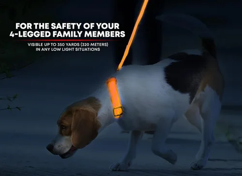 Vista 2 de Collar para perros LED Illumiseen, recargable por USB, Anaranjado encendido