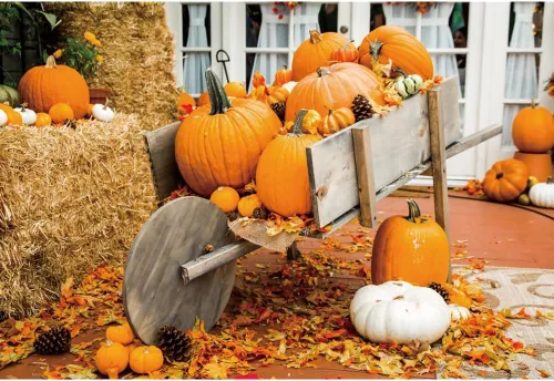 Vista 17 de Telón de fondo de otoño de 5 x 3 pies para sesión de fotos, tablero de madera de otoño para fotografía, decoración de pared de Acción de Gracias