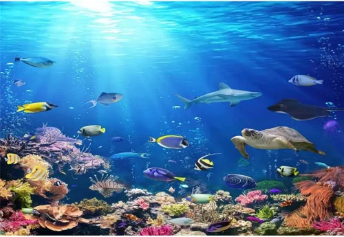 Vista 4 de Renaiss Fondo de 5 x 3 pies bajo el mar, mundo submarino, océano profundo, peces tropicales, arrecifes de coral, luz del sol, fondos marinos
