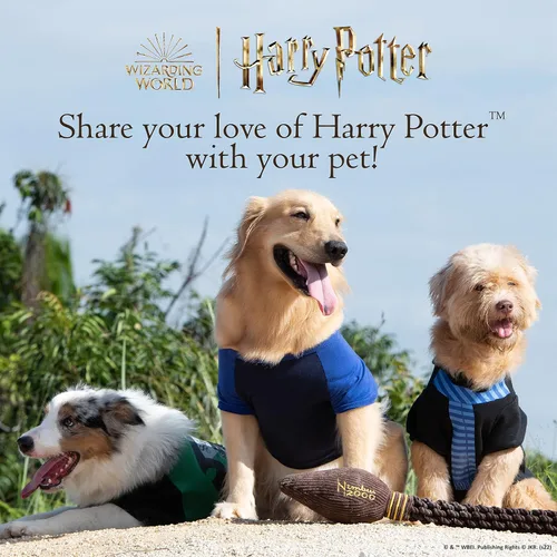 Vista 7 de Harry Potter Gryffindor Suéter para perro, ropa exterior para mascotas, ropa y accesorios para perros con licencia oficial para casas de Hogwarts