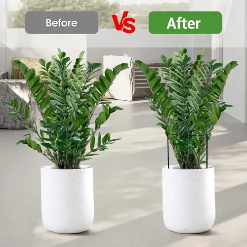 Vista 6 de Kikhope Estacas de soporte para plantas, paquete de 8 estacas de metal para jardín, jaula de soporte de peonía semicircular, soporte de bordes
