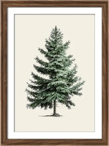 Vista 96 de MUDECOR Lienzo enmarcado prémium para pared, pinos nevados en bosque de invierno, ilustraciones modernas, arte contemporáneo, escénico, divertido