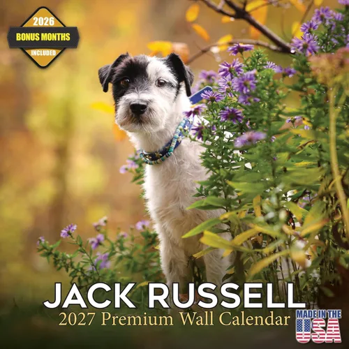 Vista 69 de Calendario de Lebrel Afgano 2025 2026, calendario mensual de pared de raza canina, 12" x 18" abierto, papel grueso sin traspaso, ideal para regalo