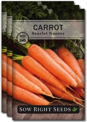Vista 8 de Sow Right Seeds - Semilla de zanahoria Scarlet Nantes para plantar - Paquete de reliquia sin OMG con instrucciones para plantar un huerto casero