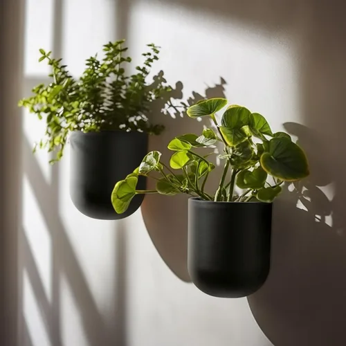 Vista 2 de La Jolie Maison Macetas colgantes de pared para plantas de interior, macetas colgantes para plantas de aire suculentas, juego de 2, 6 pulgadas