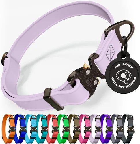 Vista 18 de Biothane - Collar de perro con hebilla de cobra, fabricado en Estados Unidos, etiqueta de identificación con código QR incluida, collares de perro