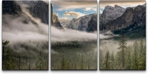 Vista 86 de wall26 Lienzo enmarcado para pared, juego de arte de fila de palmeras de California y cielo azul, naturaleza, vida silvestre, fotografía, realismo