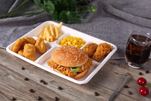 Vista 3 de Vajilla desechable, placa 100% compostable, paquete de 100 bandejas desechables de 5 compartimentos, biodegradable, respetuosa con el medio