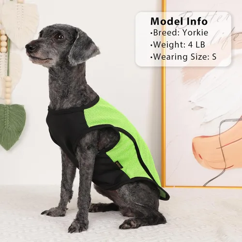 Vista 6 de Paquete de 2 ropa para perro, camisas para perros pequeños, chaleco de secado rápido para perros y niñas, camiseta para cachorros con tira Verde
