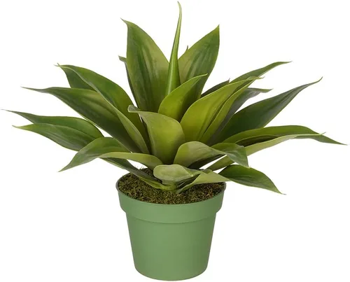 Vista 4 de House of Silk Flowers Suculenta de agave artificial (pequeño)