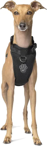 Vista 8 de Canada Pooch Arnés para perro Everything sin tirones, arnés fácil de caminar para perros con exterior de malla transpirable, arnés ajustable