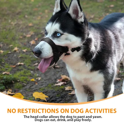 Vista 4 de BARKLESS Collar suave para cabeza de perro, herramienta de entrenamiento sin tirones para perros pequeños en paseos, suave halter para tiradores