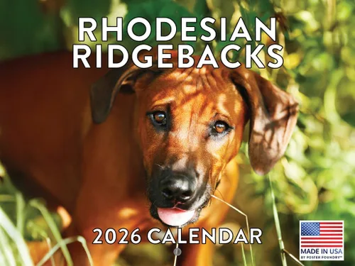 Vista 171 de Calendario mensual de pared Airedale Terrier Dog 2027 rojo (Airedale Terrier)