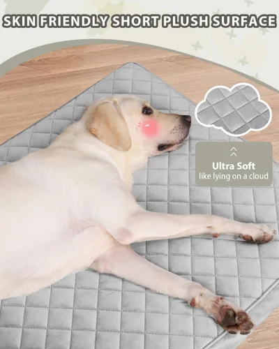 Vista 4 de NUPIDA Camas ortopédicas para perros pequeños, impermeables, con funda extraíble lavable y parte inferior antideslizante, cama acolchada para perros