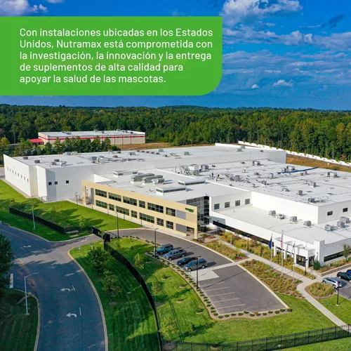 Vista 9 de Nutramax Laboratories Cosequin Elements - Suplemento para la salud de las articulaciones del perro con glucosamina, mejillón de labios verdes