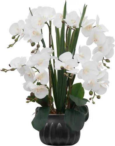 Vista 17 de CXGS Planta de orquídeas artificiales de 20.9 pulgadas, orquídeas artificiales de tacto real en jarrón de cerámica, arreglo floral de Phalaenopsis