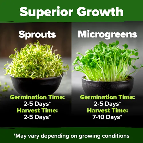 Vista 5 de HOME GROWN Semillas de germinación de alfalfa de 8 onzas sin OMG, procedentes de Estados Unidos, de alta germinación, microverdes de rápido