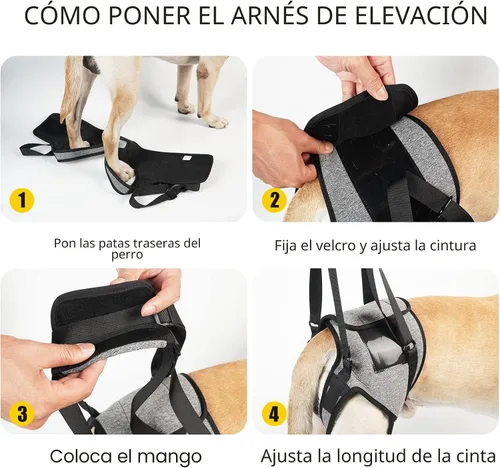 Vista 4 de Dotoner Arnés para perros grandes, soporte para las patas traseras para ayudar a rehabilitar las extremidades traseras de perros ancianos con patas