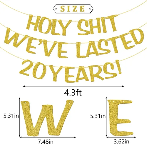Vista 2 de Holy We Lasted 20 Years - Cartel de 20 años de boda, decoración divertida para él, su marido, esposa, padres, pre-encordado, purpurina dorada
