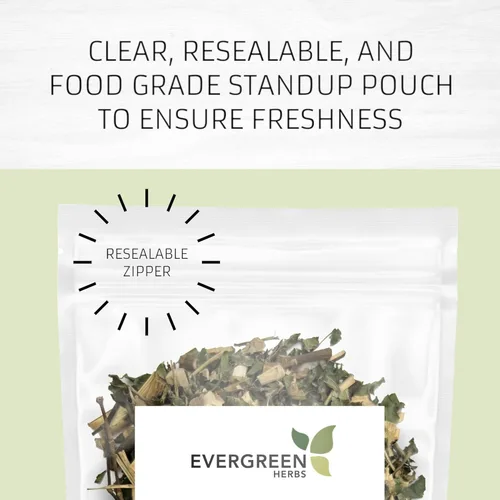 Vista 2 de Evergreen Herbs Gobernadora Chaparral 10 lb. - Larrea Tridentata, Chaparral, arbusto de creosota, Guamis, Jarilla - Bolsa de pie resellable