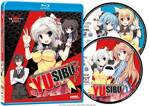 Vista 2 de I Couldn't Become a Hero, So I Reluctantly Decided to Get a Job Blu-ray