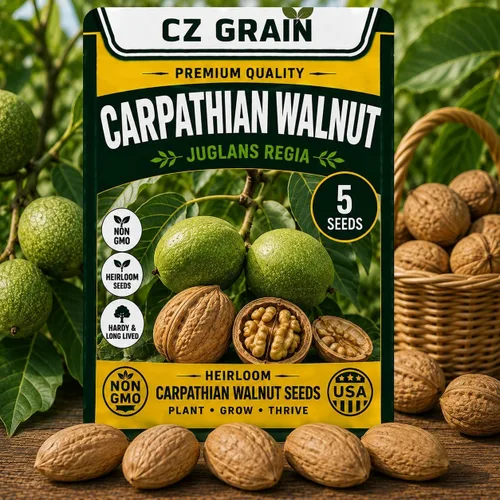 Vista 23 de CZ Grain Semillas para plantar, 40 pequeñas mezclas de calabaza