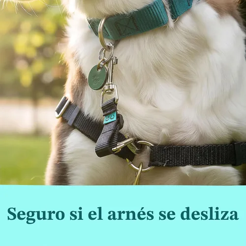 Vista 4 de Collar Companion - Clip de Respaldo Ajustable para Arnés de Perro, Púas, Collares de Pellizco, Gentle Lead - Cierre de Respaldo de Doble Extremo