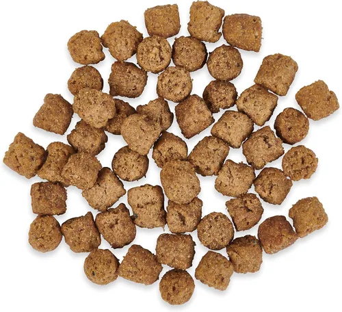 Vista 9 de Ketona Receta de salmón alimento seco para perros adultos, natural, bajo en carbohidratos (solo 5%), alto en proteínas (46%), sin granos