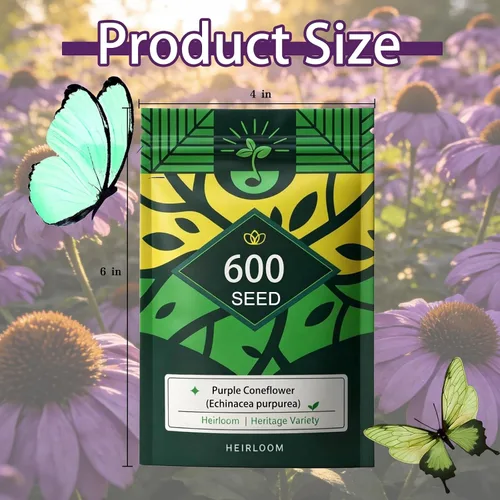 Vista 7 de Semillas de equinácea púrpura (Echinacea purpurea), perenne nativa resistente, paquete de 600 semillas