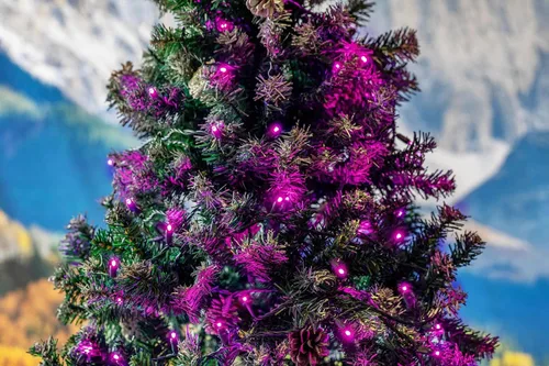 Vista 5 de Novelty Lights Guirnalda de luces navideñas de 11 pies, 50 bombillas LED rosas en cable negro, espacio de 2.5 pulgadas, iluminación conectable
