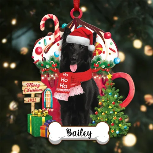 Vista 53 de Akita1 - Adorno personalizado para perro, adorno de perro con nombre personalizado, plano impreso en 2D, acrílico colgante, Papá Noel y perro