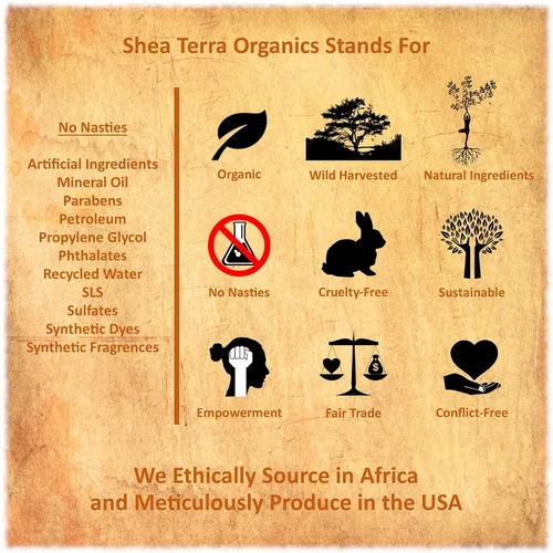 Vista 4 de Shea Terra Kigelia Age Defense Collection - Suero facial antioxidante Suero facial natural antienvejecimiento con antioxidantes que hidratan