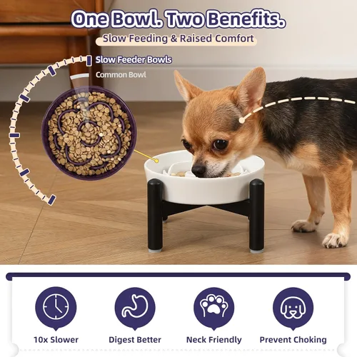 Vista 4 de Cuenco elevado para perros de alimentación lenta, 0.8 tazas de cerámica elevado con soporte inoxidable, cuenco elevado para perros de 6.3 pulgadas
