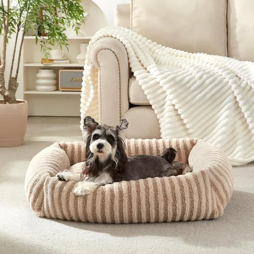 Vista 16 de MIXJOY Cama para Perros de Tamaño Mediano y Pequeño, Cama Lavable para Perros Medianos con Funda Extraíble, Cama Rectangular para Perros de Felpa