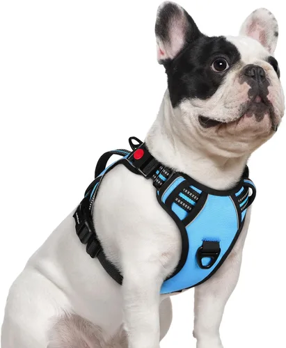 Vista 17 de rabbitgoo Arnés para perro de tamaño pequeño, arnés para mascotas sin tirones con mango acolchado suave, chaleco reflectante ajustable con 3
