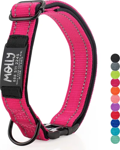 Vista 10 de ACTUALIZADO - Collares de perro personalizados y placa de identificación grabada, collar de perro de nailon reflectante, personalizable en 11
