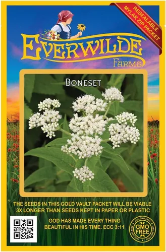 Vista 5 de Everwilde Farms - Semillas de flores silvestres nativas Boneset de 1 onza - Gold Vault