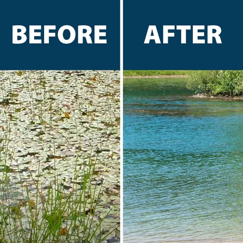 Vista 6 de Airmax Ultra Pondweed Defense - Mata malezas acuáticas y plantas, fácil aplicación en aerosol para limpiar y limpiar agua de estanque grande y lago