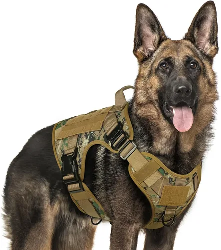 Vista 41 de rabbitgoo - Arnés táctico para perros pequeños, arnés resistente para mascotas con asa, chaleco de servicio sin tirones para razas pequeñas, chaleco