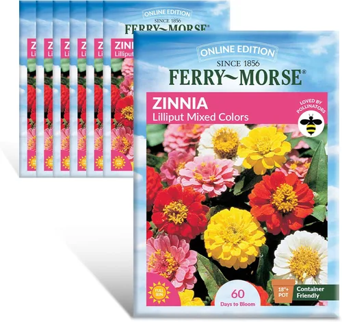 Vista 11 de Ferry-Morse Edición Online Bean Blue Lake Bush 274 Semillas Orgánicas Multipack – Paquete de 8